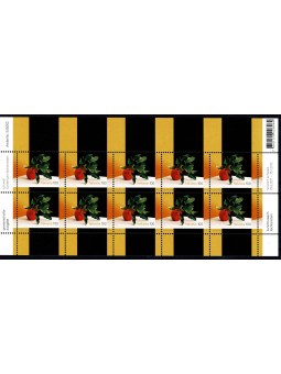 2011 SVIZZERA AMICIZIA CON...