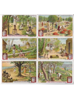 S 0878 / LIEBIG / ALBERI...