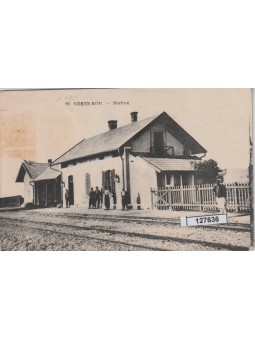 CARTOLIN VERTE - KOP...