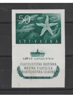 1952 TRIESTE B STT - VUJNA...