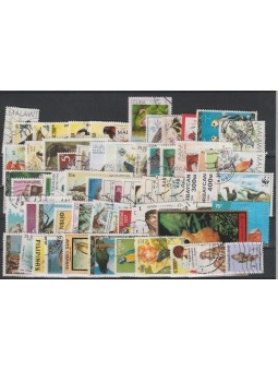 RACCOLTA LOTTO FAUNA...