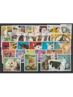 RACCOLTA FAUNA CANI E GATTI...