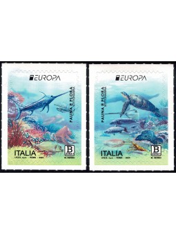 2024 REPUBBLICA ITALIANA n....