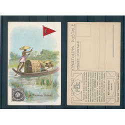 CARTOLINA PUBBLICITARIA ACHILLE BRIOSCHI LYSOFORM LA POSTA NEL DECAN MF40922