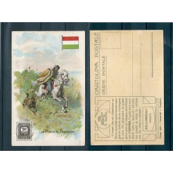 CARTOLINA PUBBLICITARIA ACHILLE BRIOSCHI LYSOFORM LA POSTA IN UNGHERIA MF40924