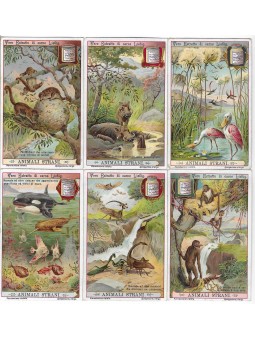 S 1035 / LIEBIG / ANIMALI...