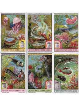 S 1133 / LIEBIG / ANIMALI...