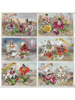 S 0520 / LIEBIG / FIORI CON...