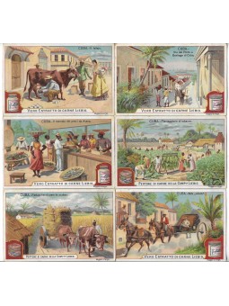 S 0585 / LIEBIG / CUBA...