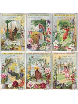 S 0689 / LIEBIG / IL CORSO...