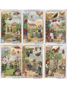 S 0931/ LIEBIG / FRUTTI E...