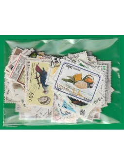 RACCOLTA LOTTO FAUNA...