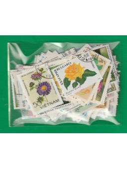 LOTTO FLORA FIORI 100...