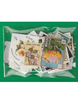 LOTTO FLORA FIORI 100...