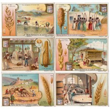 S 0781 / LIEBIG / I GRANI...