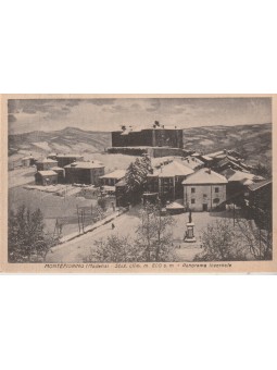 CARTOLINA EMILIA MODENA...