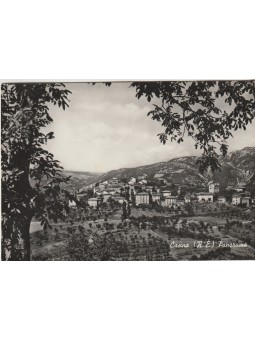 CARTOLINA REGGIO EMILIA...