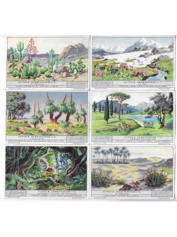 S 1277 / LIEBIG / CLIMA E...