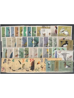 POLONIA FAUNA UCCELLI LOTTO...