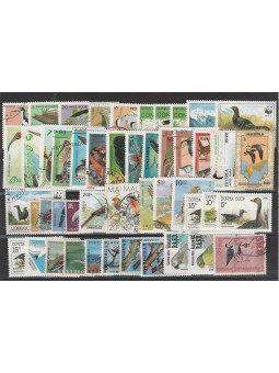 FAUNA UCCELLI LOTTO 50...