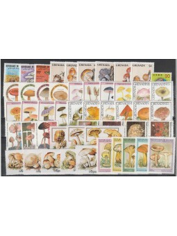 LOTTO FLORA FUNGHI 50 VAL....