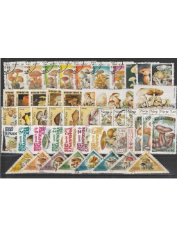 LOTTO FLORA FUNGHI 50 VAL....