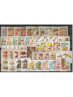 LOTTO FLORA FUNGHI 50 VAL....