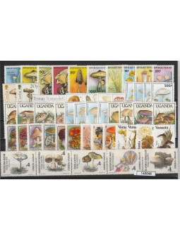 LOTTO FLORA FUNGHI 50 VAL....