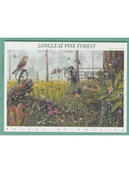 2002 STATI UNITI UNITED...