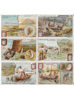 S 0716 / LIEBIG / I TESORI...