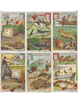 S 0744 / LIEBIG / PESCI DI...