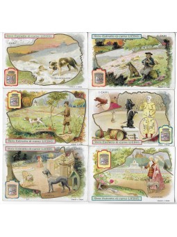 S 0805 / LIEBIG / I CANI 2...