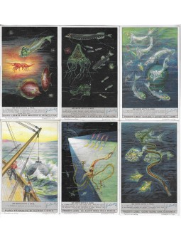 S 1360 / LIEBIG / 900 METRI...