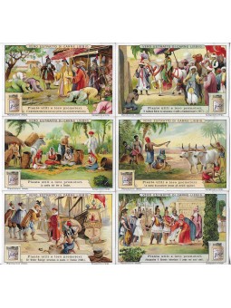 S 1100 / LIEBIG / PIANTE...