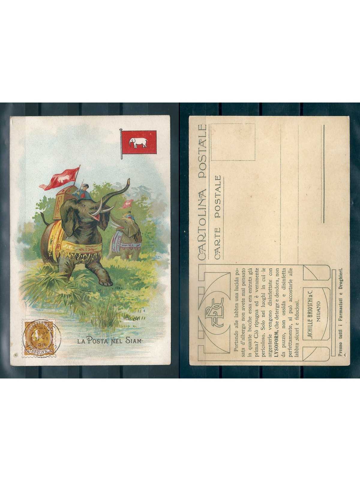 CARTOLINA PUBBLICITARIA ACHILLE BRIOSCHI LISOFORM LA POSTA NEL SIAM MF40881