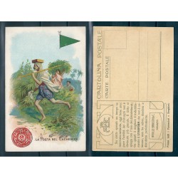 CARTOLINA PUBBLICITARIA ACHILLE BRIOSCHI LYSOFORM LA POSTA IN CACHEMIRE MF40911