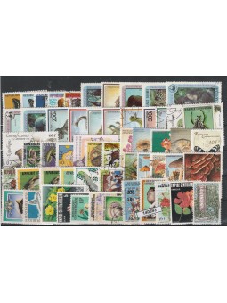 CENTRAFRICA LOTTO 50...