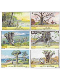 S 1306 / LIEBIG / ALBERI...