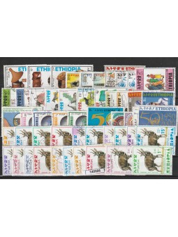 RACCOLTA ETIOPIA LOTTO 50...