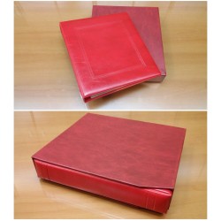 MASTERPHIL RACCOGLITORE CON...