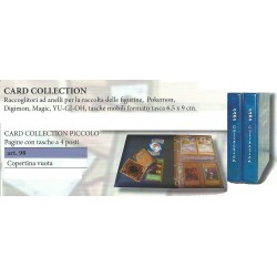 MASTER PHIL RACCOGLITORE AD...