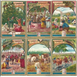 S 0566 - LIEBIG - PIANTE...