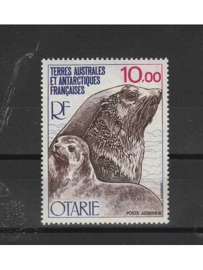 1977 TAAF TER ANTARTICO FRANCESE OTARIE 1 VAL MNH MF53277