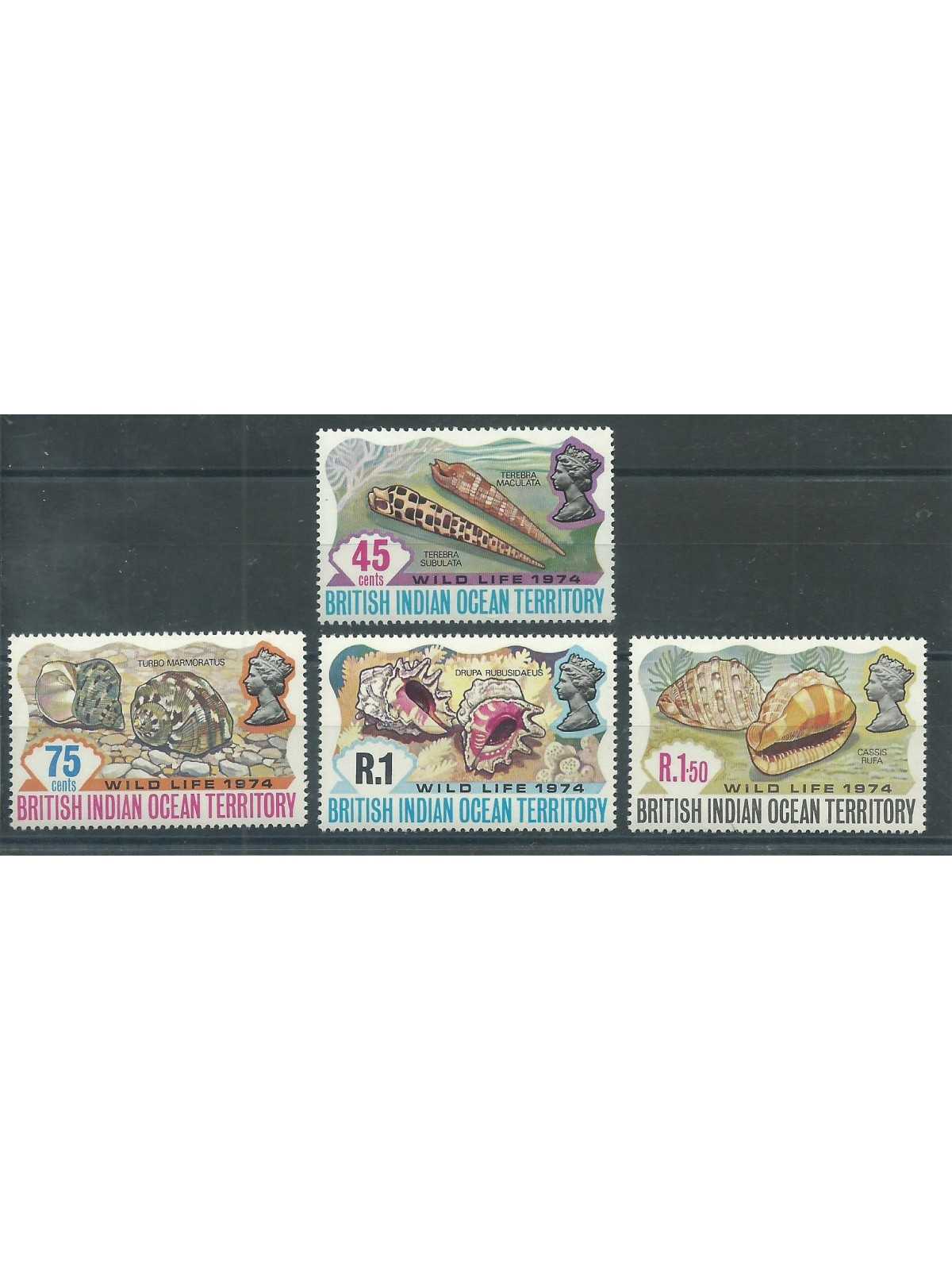 BIOT 1974 SERIE CONCHIGLIE SHELLS 4 V MNH YVERT N. 59/62 MF27296