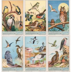 S 1868 - LIEBIG - GLI UCCELLI PROTETTI (B BOND) - ITA MF28646