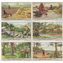 S 1512 / LIEBIG / IL...