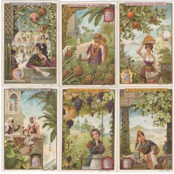 S 0630 / LIEBIG / FRUTTA E...