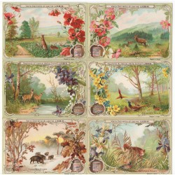 S 0627 - LIEBIG - FRA CAMPI E FORESTE (ITA) 627 MF28631