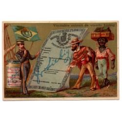 S 0092 l - LIEBIG - PASSAPORTI DI VARIE NAZIONI - BRASILE - FIG. L - (FRA) MF28679