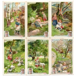 S 0613 LIEBIG BOZZETTI...